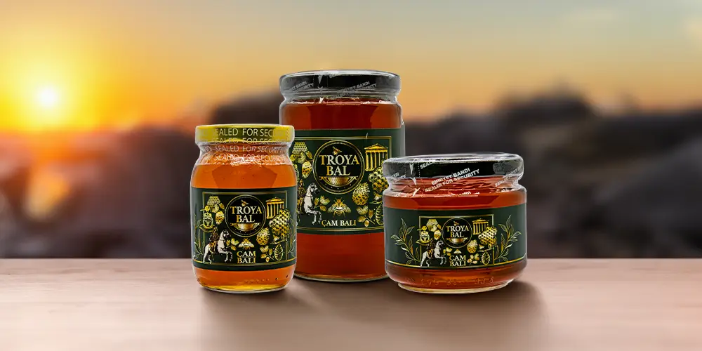 Çam Balı Şifalı Gücü: Bağışıklık Sistemini Güçlendirin